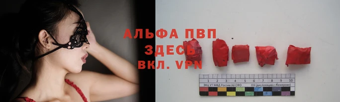 таблы Белокуриха