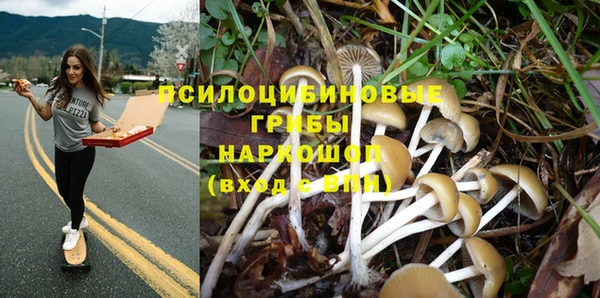таблы Белокуриха