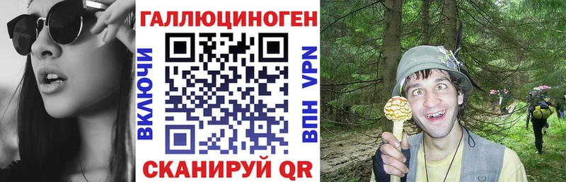купить наркоту  Большой Камень  Псилоцибиновые грибы прущие грибы 